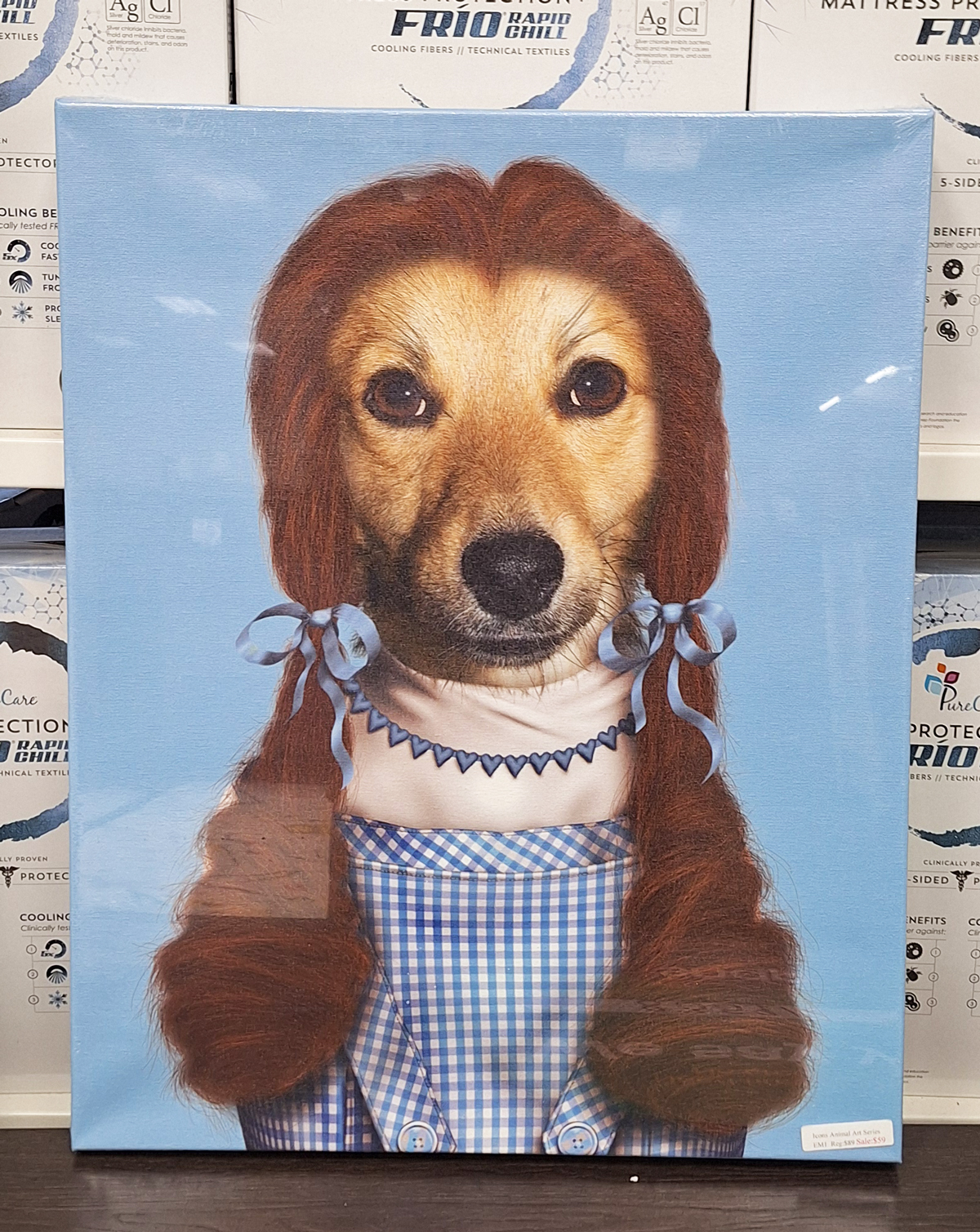 Who doesn't need a Dorthy Toto Dog wall canvas!